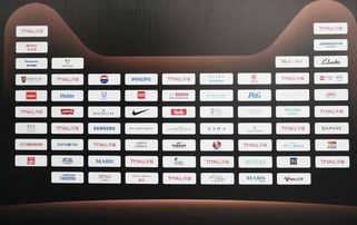 天猫集齐国际品牌ceo,网友支招刘强东 快锁店