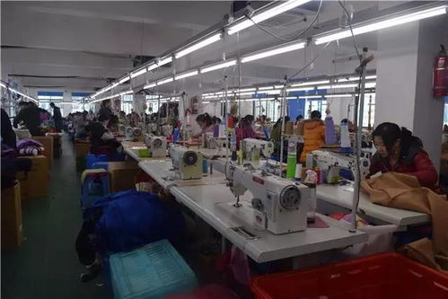 海盐双面羊绒工厂店盛大开业，进店有礼，惊喜不断！